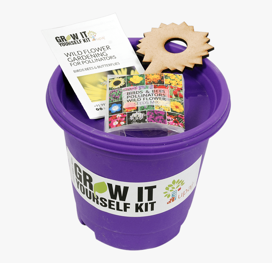 Birds & Bees Pollinators Giy Kit"
 Class="lazyload - Sunflower, Transparent Clipart