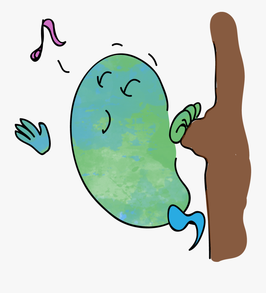 V, Transparent Clipart