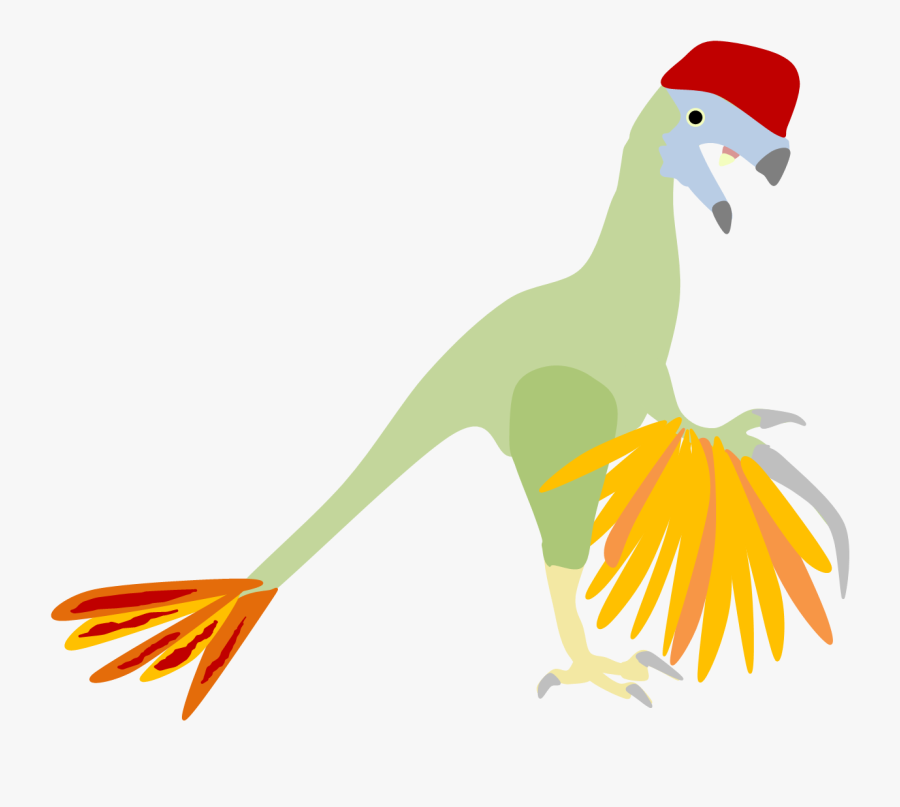 Parrot, Transparent Clipart