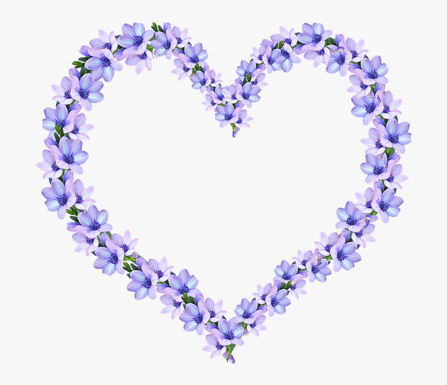 Simple Flower Page Border Designs 17, Buy Clip Art, Transparent Clipart