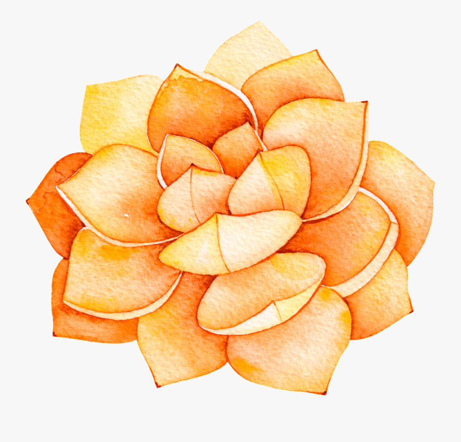 This Backgrounds Is Orange Flower Cartoon Transparent - Transparent Background Cactus Flower Clipart, Transparent Clipart