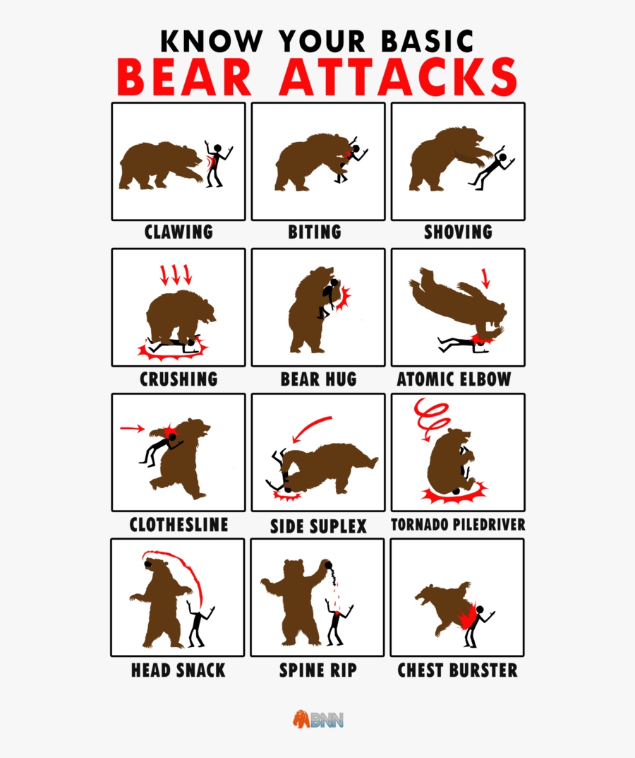 Basic Bear Attacks Shirt Axe & Bear Wares - Don T Argue With The Dm, Transparent Clipart