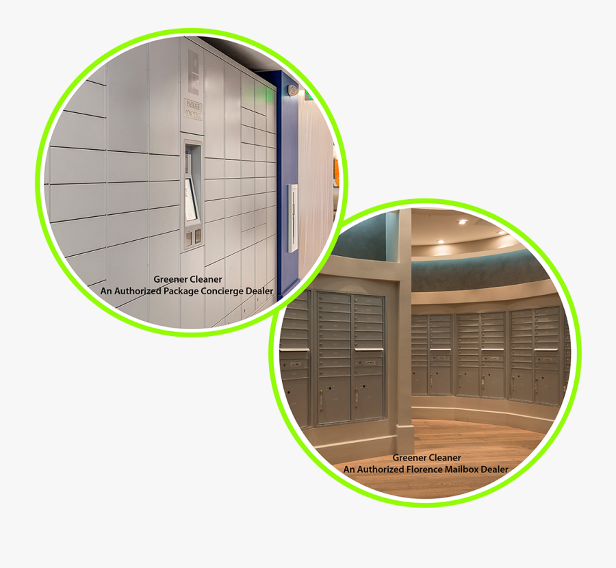 Circle, Transparent Clipart