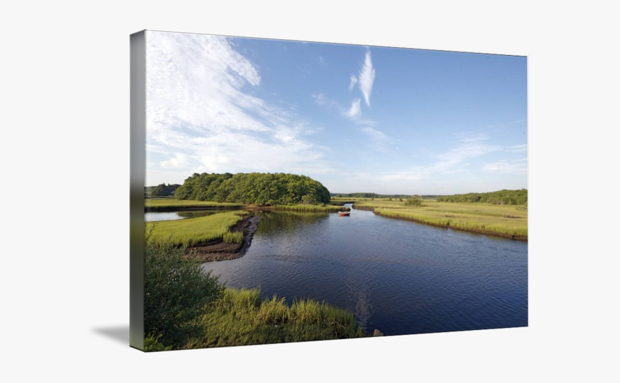 Salt Marsh, Transparent Clipart