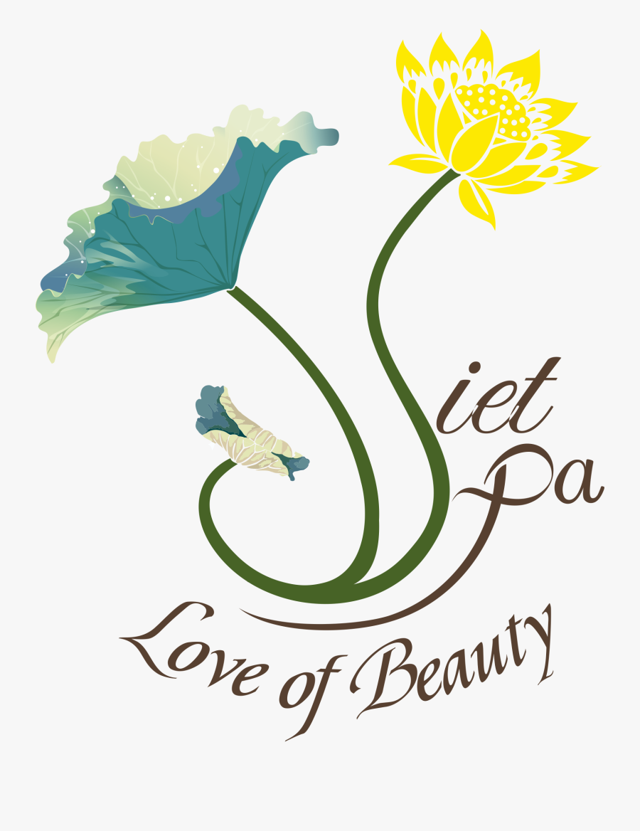 Com/wp Viet Lotus Spa - Illustration, Transparent Clipart