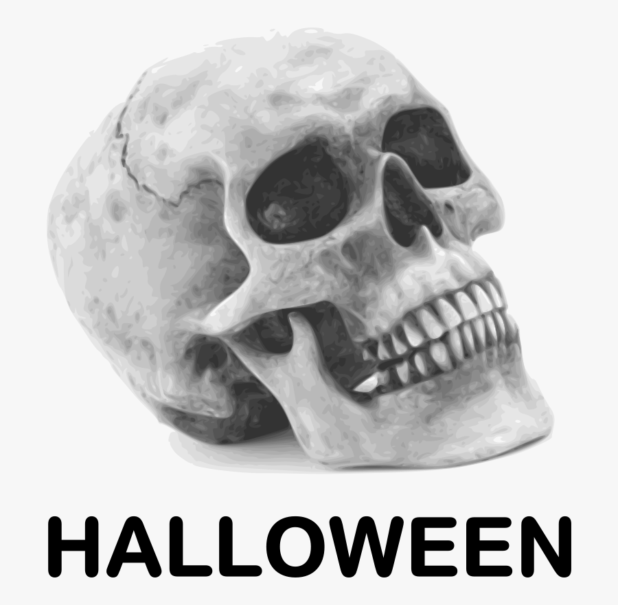 Crane Squelette Png, Transparent Clipart