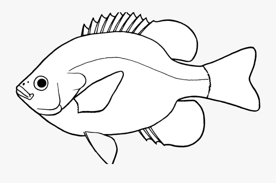 Fish Lovely Of Clipart Black And White Letter Master - Bass Fish Drawing Easy, Transparent Clipart