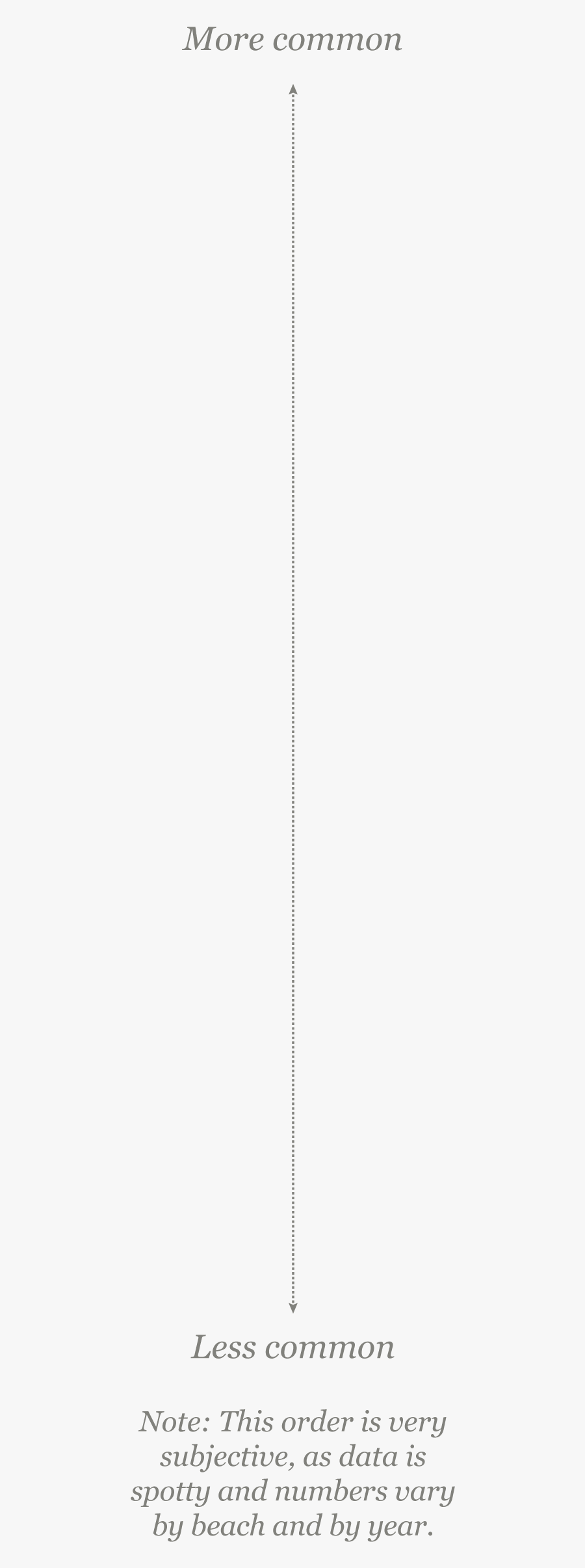 Chain, Transparent Clipart