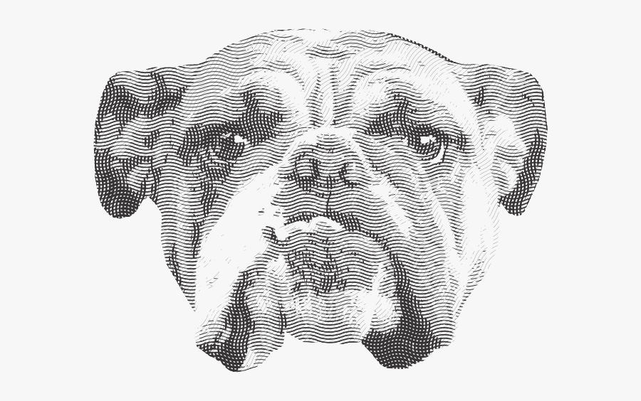 Corel Effect, Transparent Clipart