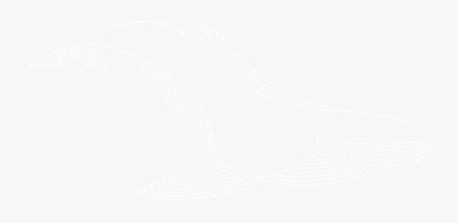 Johns Hopkins Logo White, Transparent Clipart