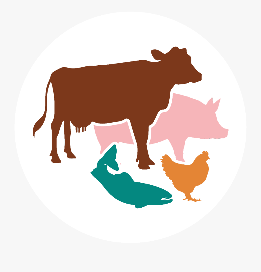 Your Choices Affect The Animals - Cow Silhouette, Transparent Clipart