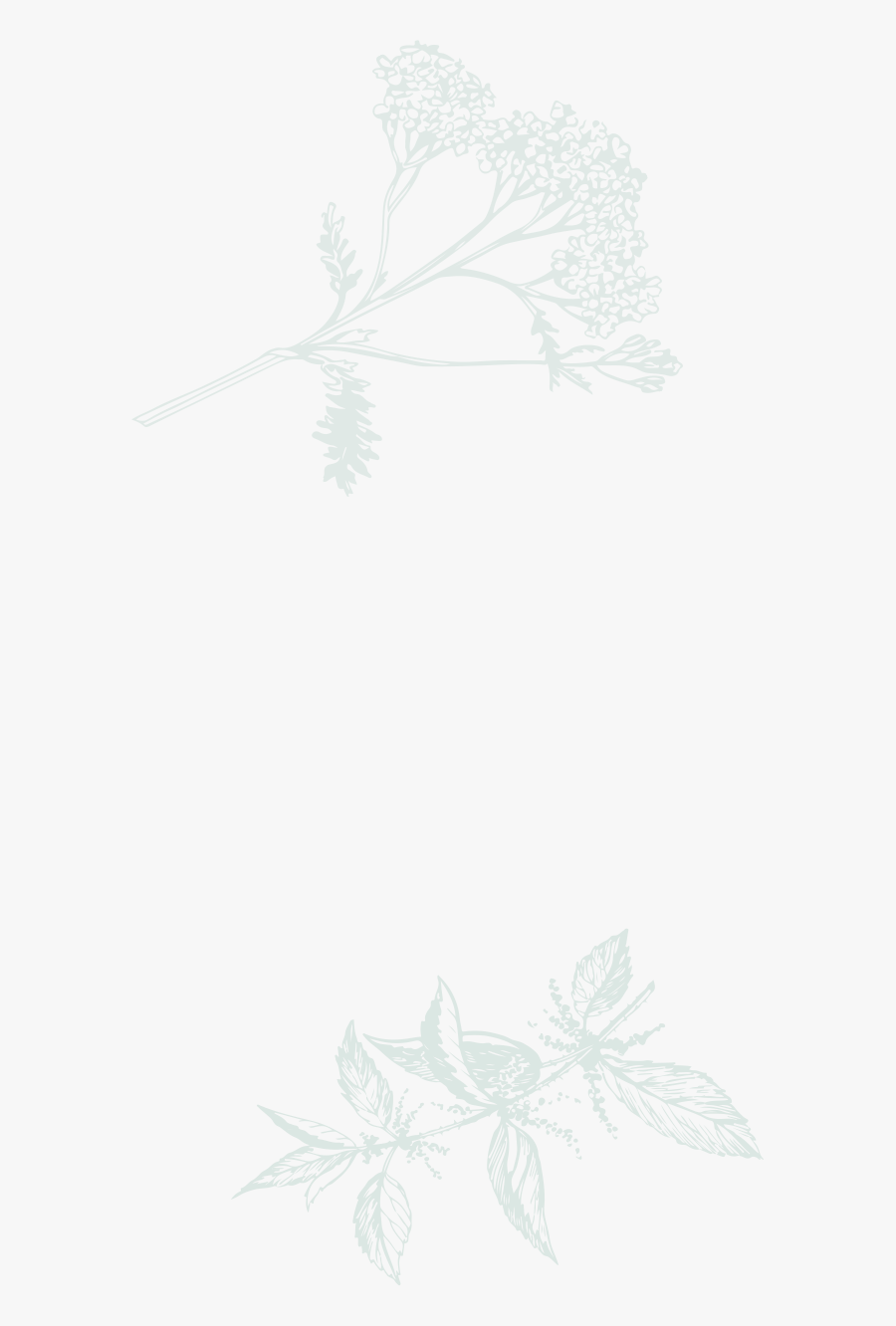 Sketch, Transparent Clipart