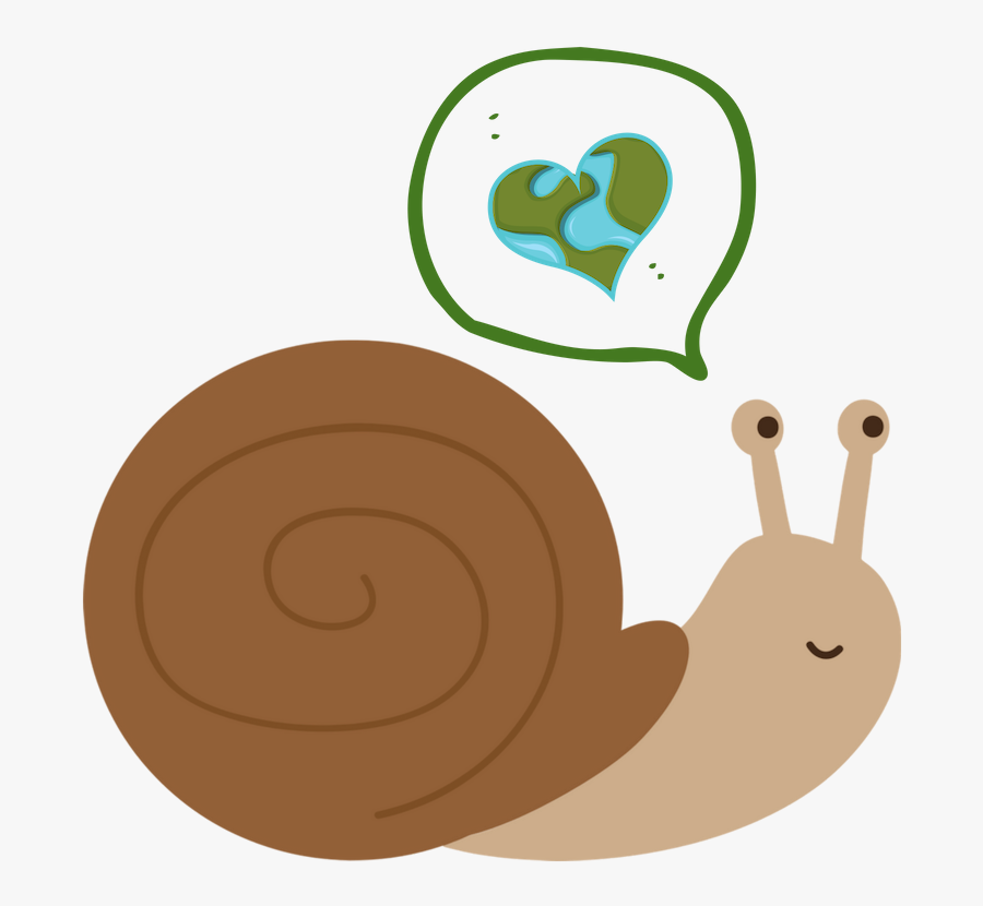 Adventures With Sam - Lymnaeidae, Transparent Clipart