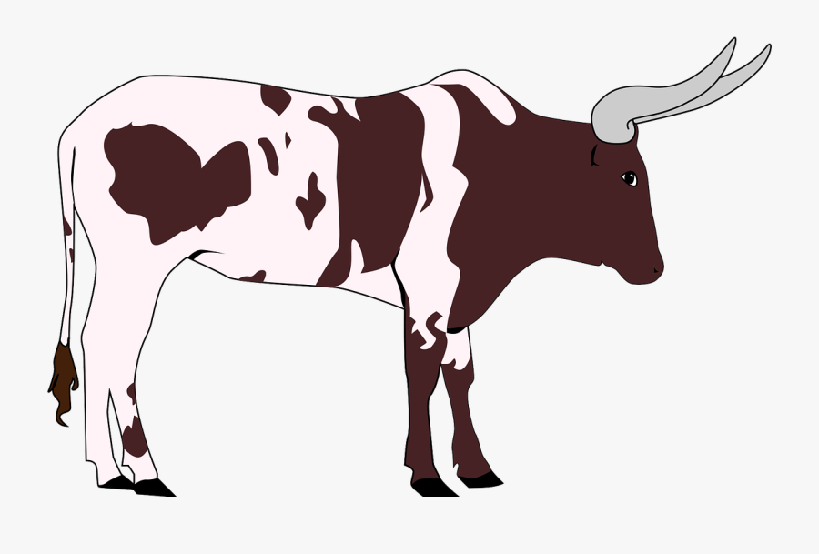 Animal Zoo Wildlife Free Picture - Clipart Of Zebu Png, Transparent Clipart