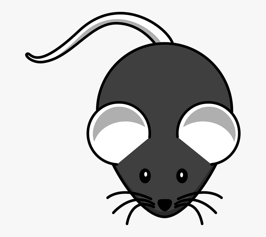 Mouse, Black, Mammal, Rodent, Whiskers, Ears, Tail - Mouse Clip Art, Transparent Clipart