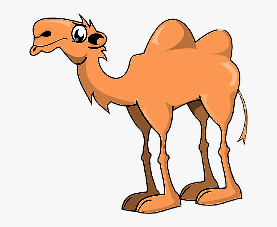 Animals Camel Hump Humpday Freetoedit - Cartoon Camel Two Humps, Transparent Clipart