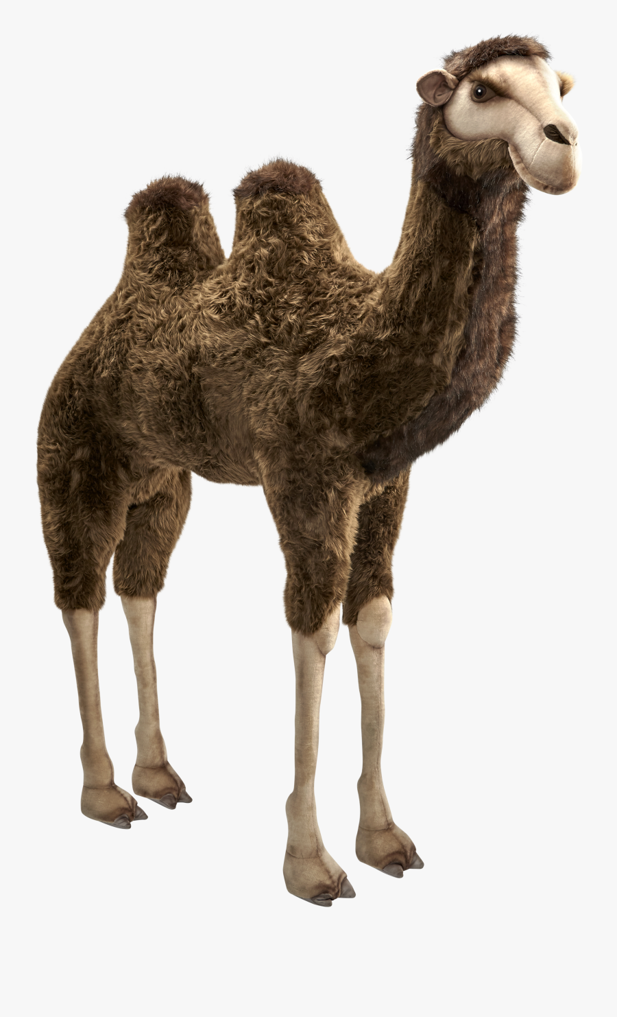 Clip Art Camel Eyelashes - Camel (larger One Pictured) By Hansa, Transparent Clipart