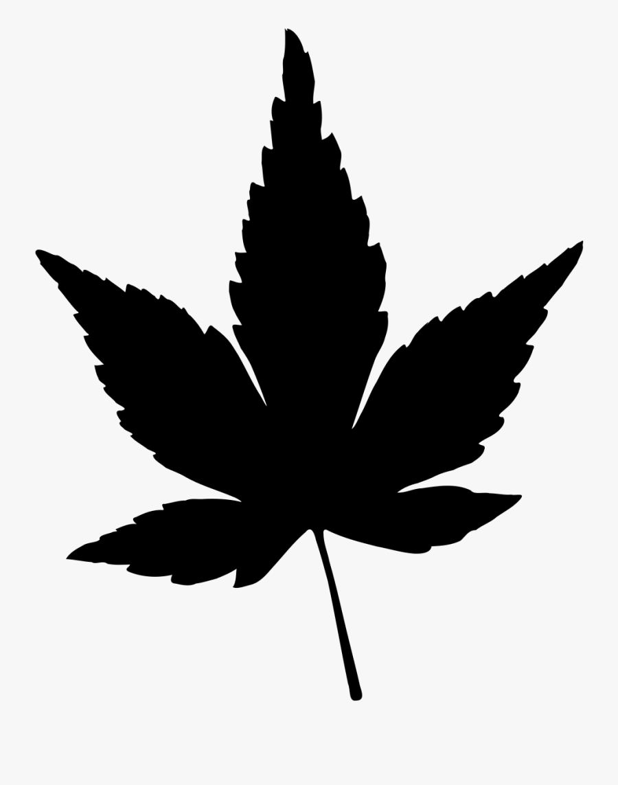 Japanese Maple Leaf Vector - Transparent Background Marijuana Leaf Clip Art, Transparent Clipart