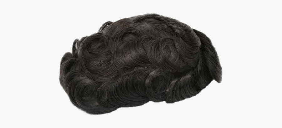 Curly Hair Toupee - Toupee Png, Transparent Clipart