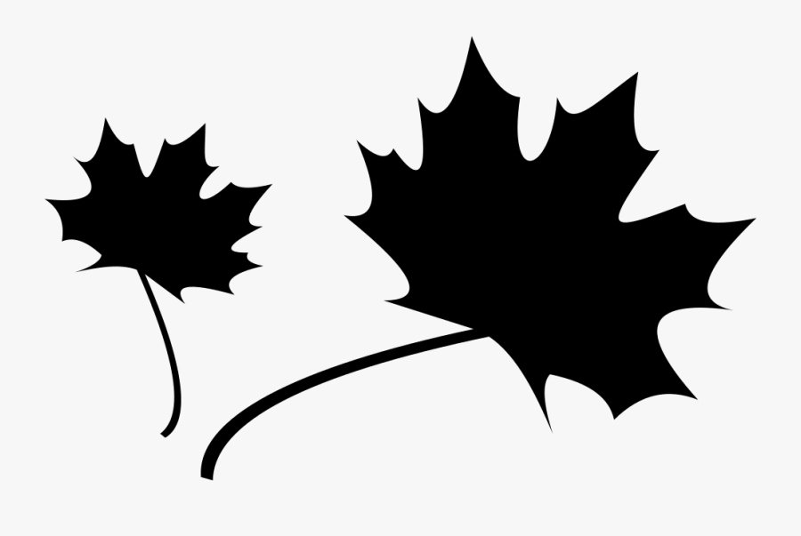 Two Maple Leaves - Maple Leaf Svg Free, Transparent Clipart
