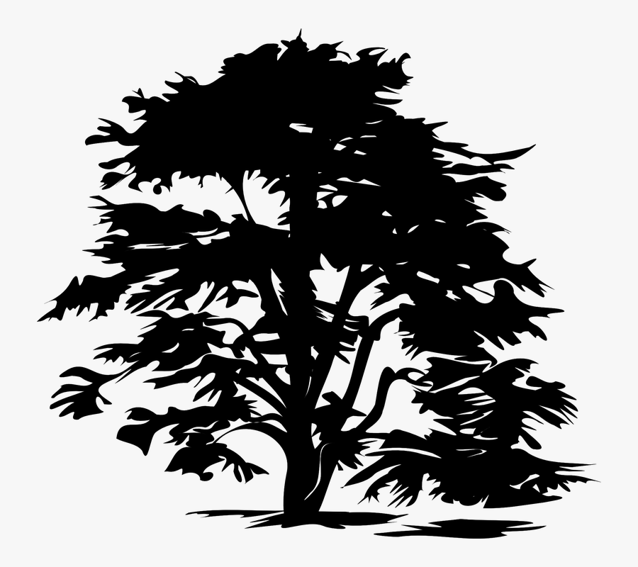Black And White Tree Clip Art - Free Tree Clipart Black And White Png, Transparent Clipart