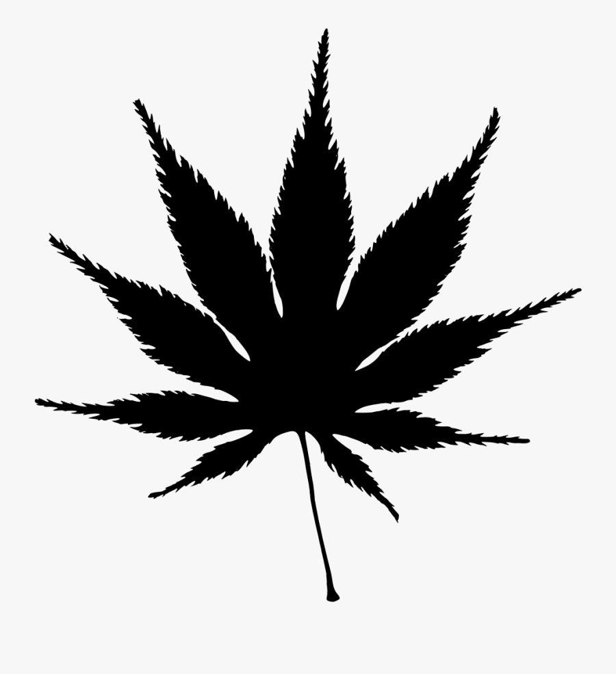 Japanese Maple Leaf Silhouette, Transparent Clipart