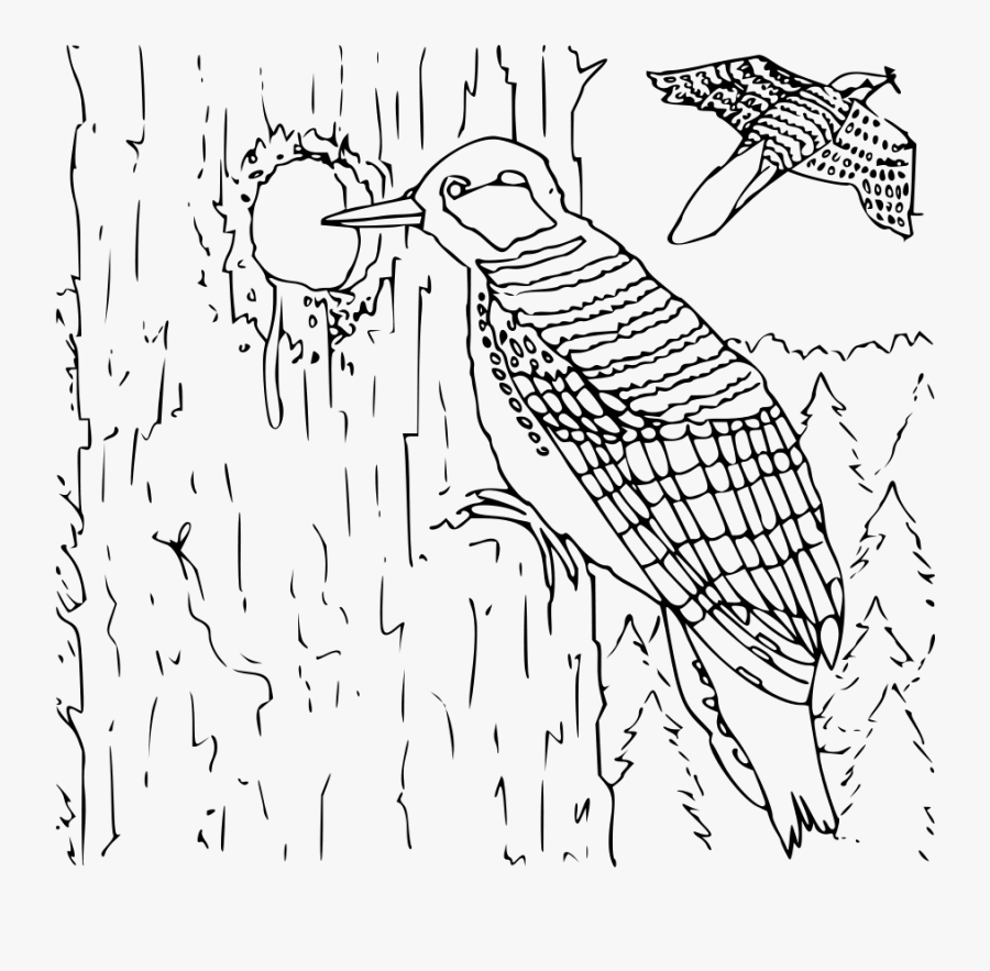 Black Woodpecker Png Clip Arts - Peck Black And White, Transparent Clipart