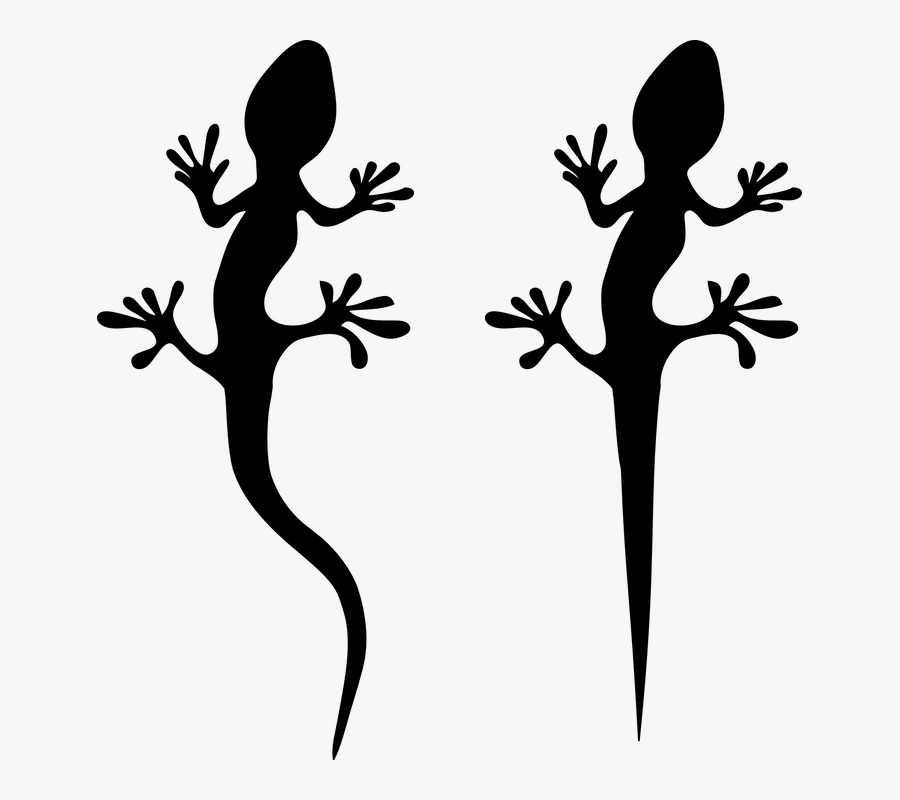 Lizard Vector, Transparent Clipart