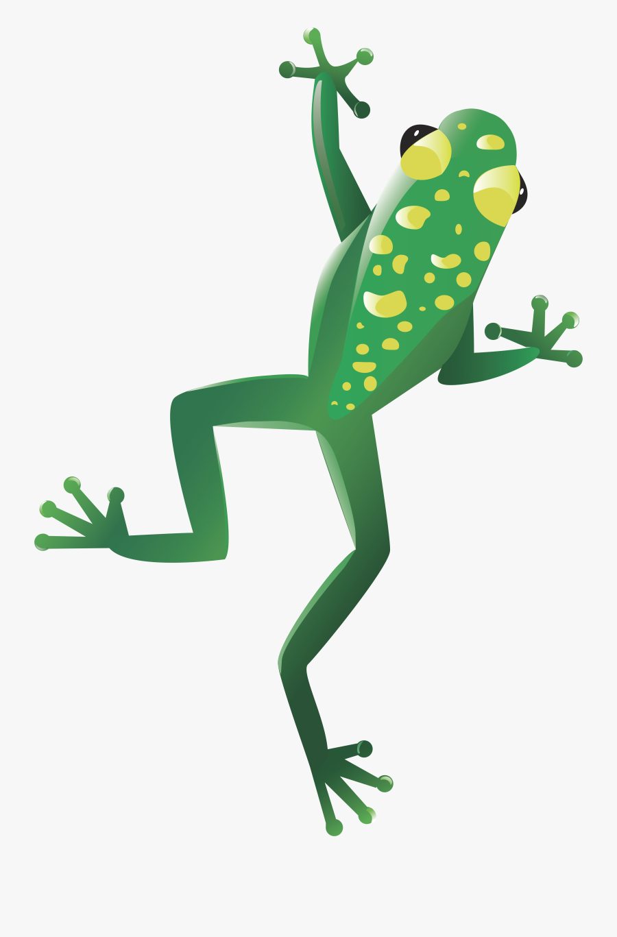 Transparent Green Frog Png - Transparent Background Cute Tree Frog Clipart, Transparent Clipart