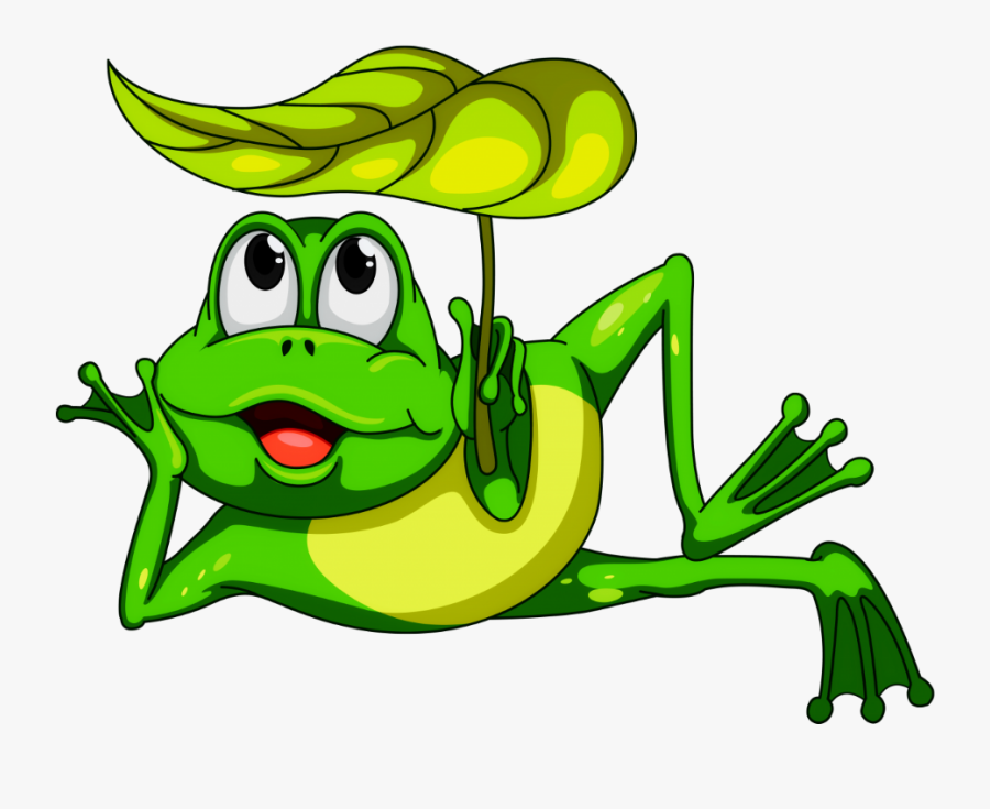 #mq #green #frog #frogs #toad - Frog Cartoon, Transparent Clipart