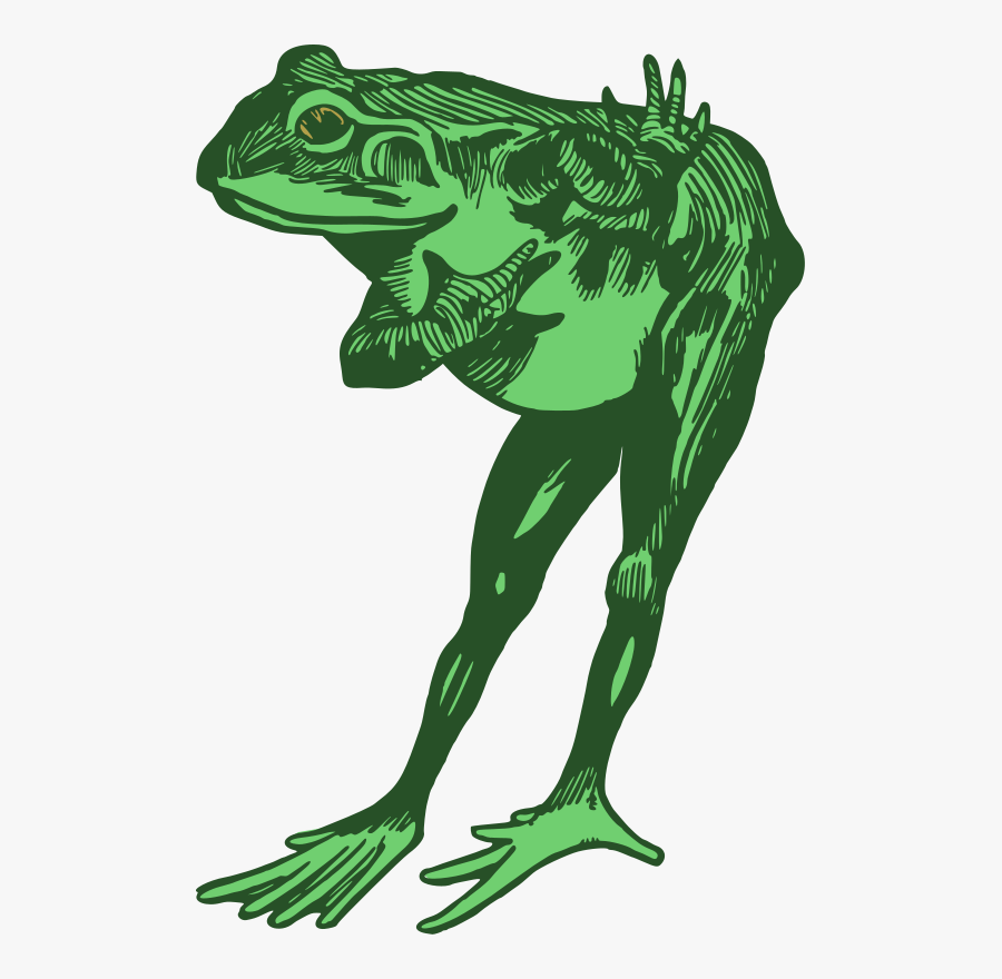 Grass,art,toad - Frog Bowing Clipart, Transparent Clipart