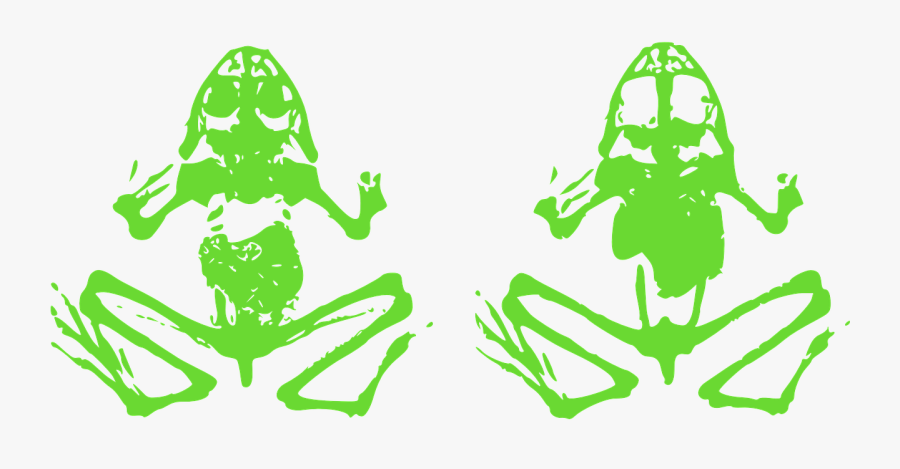 Dead Frog Clipart - Dead Frog Clip Art, Transparent Clipart