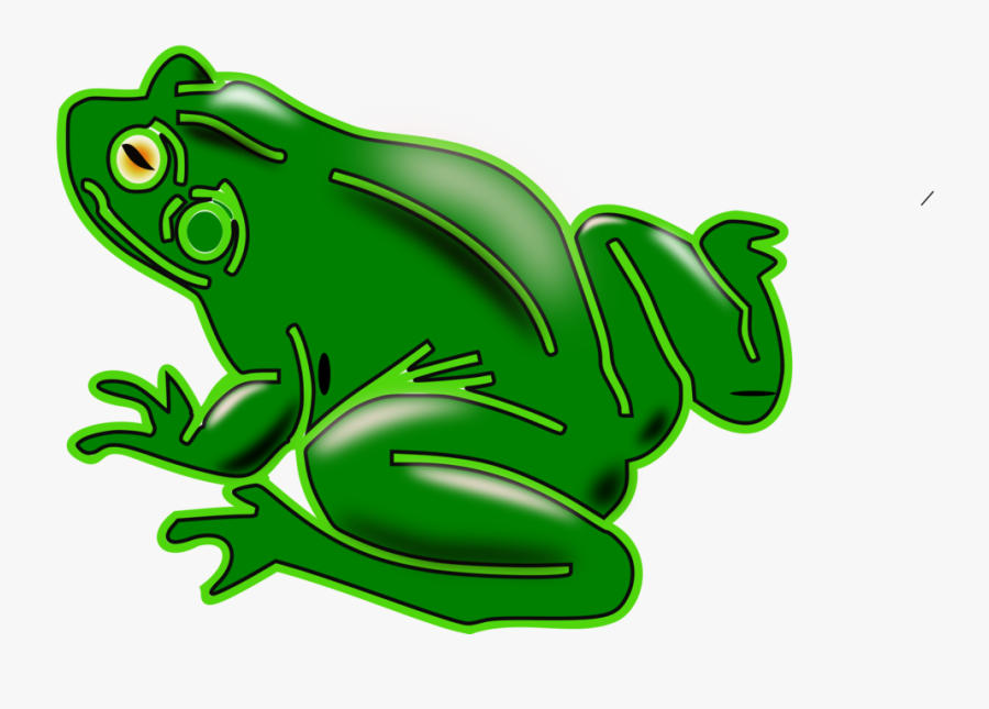 Clip Art Pond Amphibian Vertebrate American - Rana Clipart, Transparent Clipart
