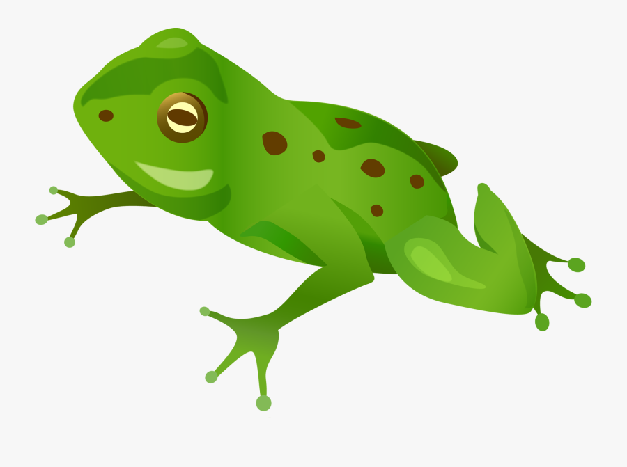 35774 - Cartoon Frog Transparent Background, Transparent Clipart