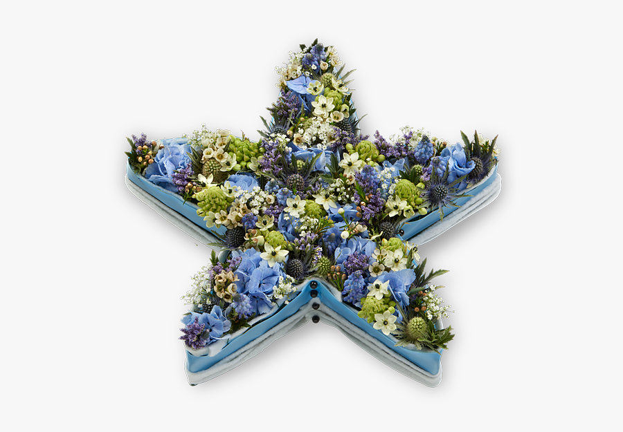 Transparent Blue Star Png - Infant, Transparent Clipart