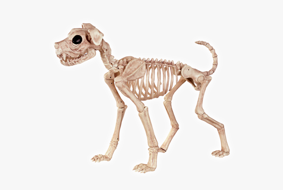 Clip Art Lightweight Big Dog Halloween - Dog Skeleton, Transparent Clipart