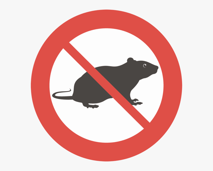 Rodent Clipart Pest Control - Control De Las Plagas, Transparent Clipart