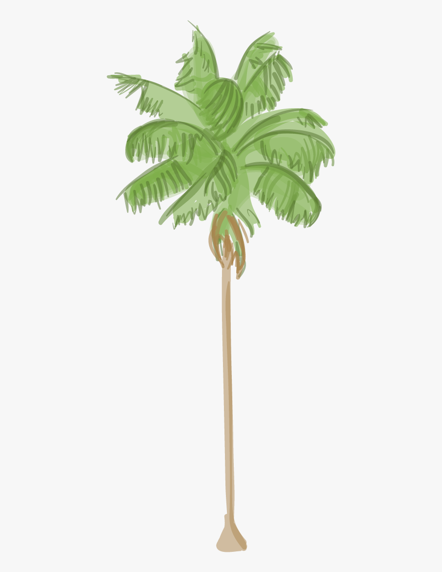 Canary Island Date Palm - Palm Tree Png, Transparent Clipart