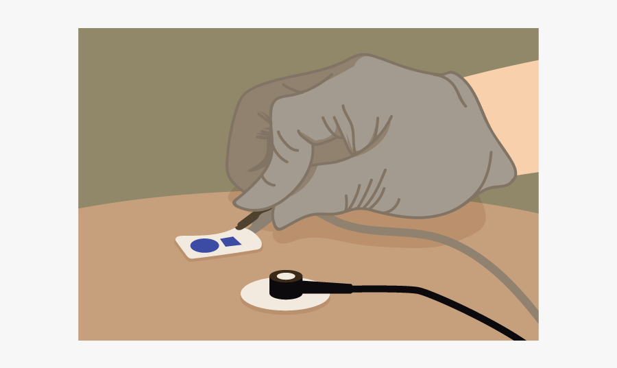 Illustration, Transparent Clipart