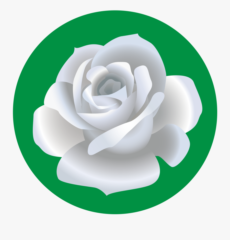 Collection Of Free Gardenia Drawing Vector Download - Larosa De Guadalupe Logo Png, Transparent Clipart