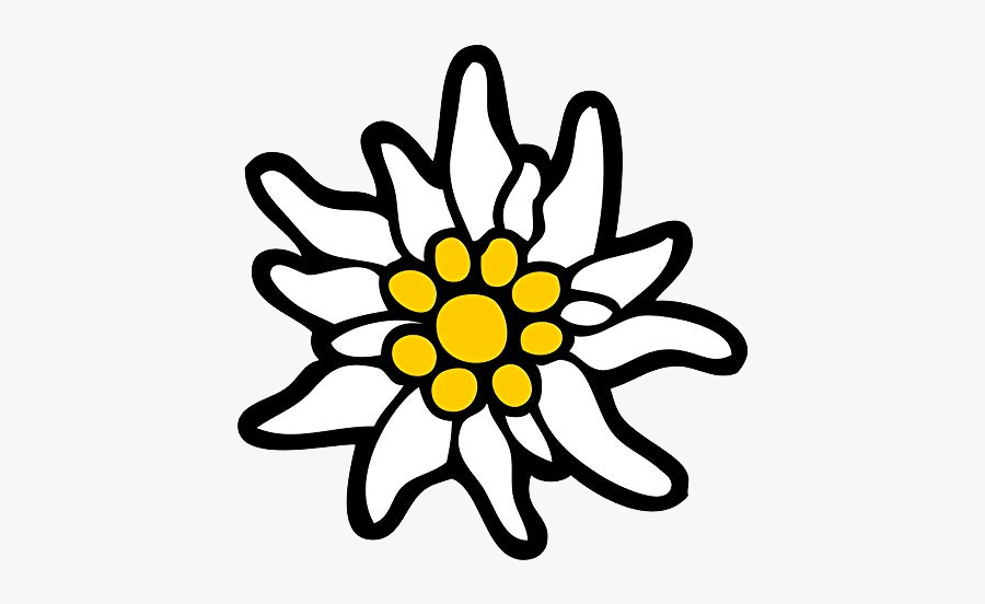 Edelweiss Png, Transparent Clipart