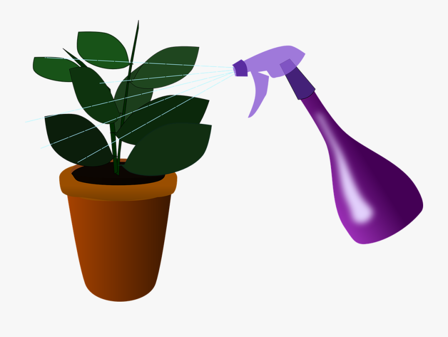 Plant-3 - Spray Plant Icon, Transparent Clipart