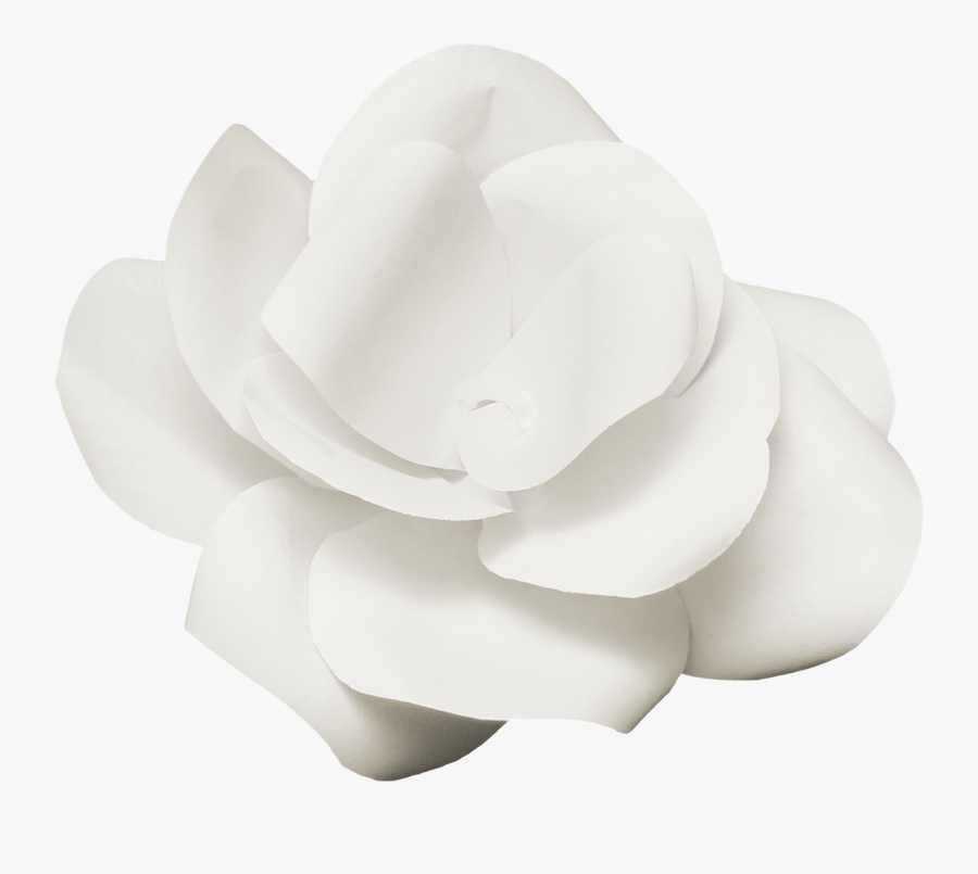 White Flower Poster - Artificial Flower, Transparent Clipart