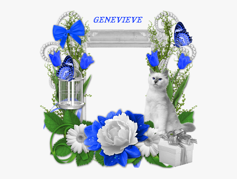 550260clutercadrechat - Gardenia, Transparent Clipart