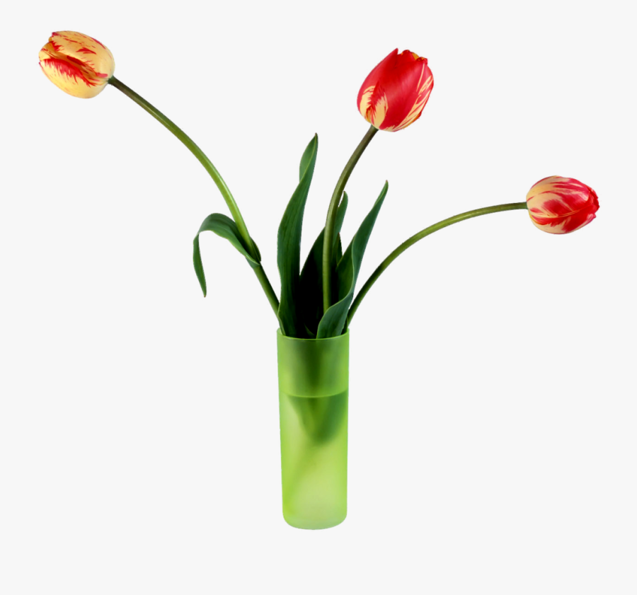 My Wife On Valentine"s Day Card - 3 Tulips Is A Vase, Transparent Clipart