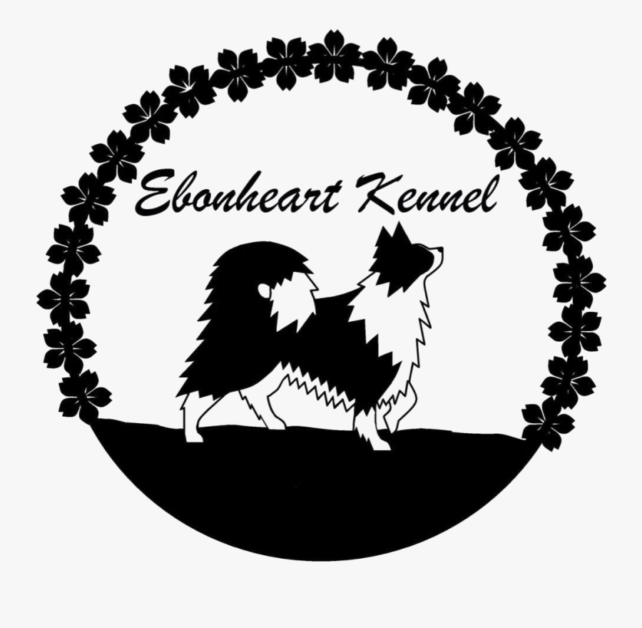 Car Wash - Black Beads With Gemstones, Transparent Clipart