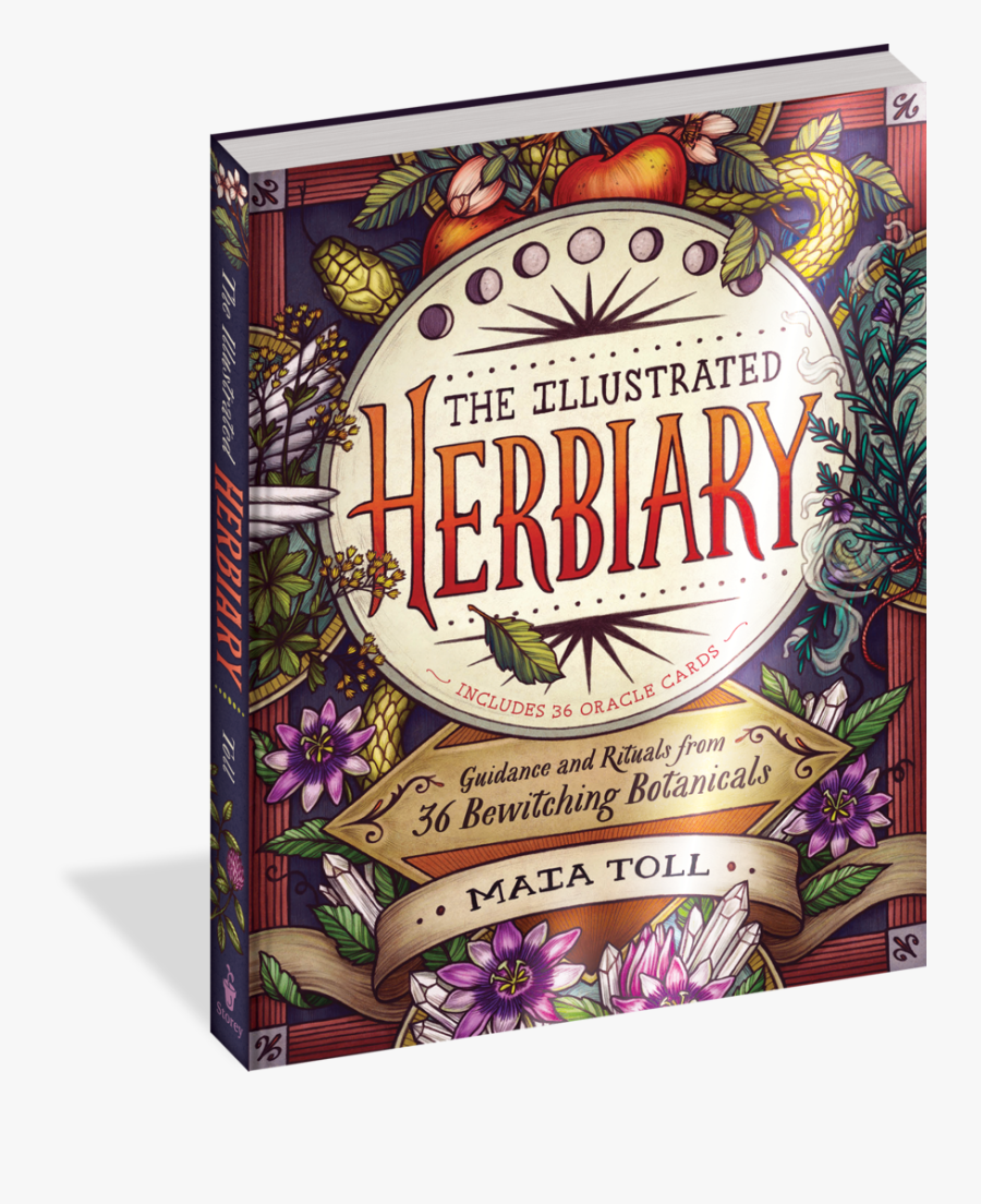 Illustrated Herbiary, Transparent Clipart