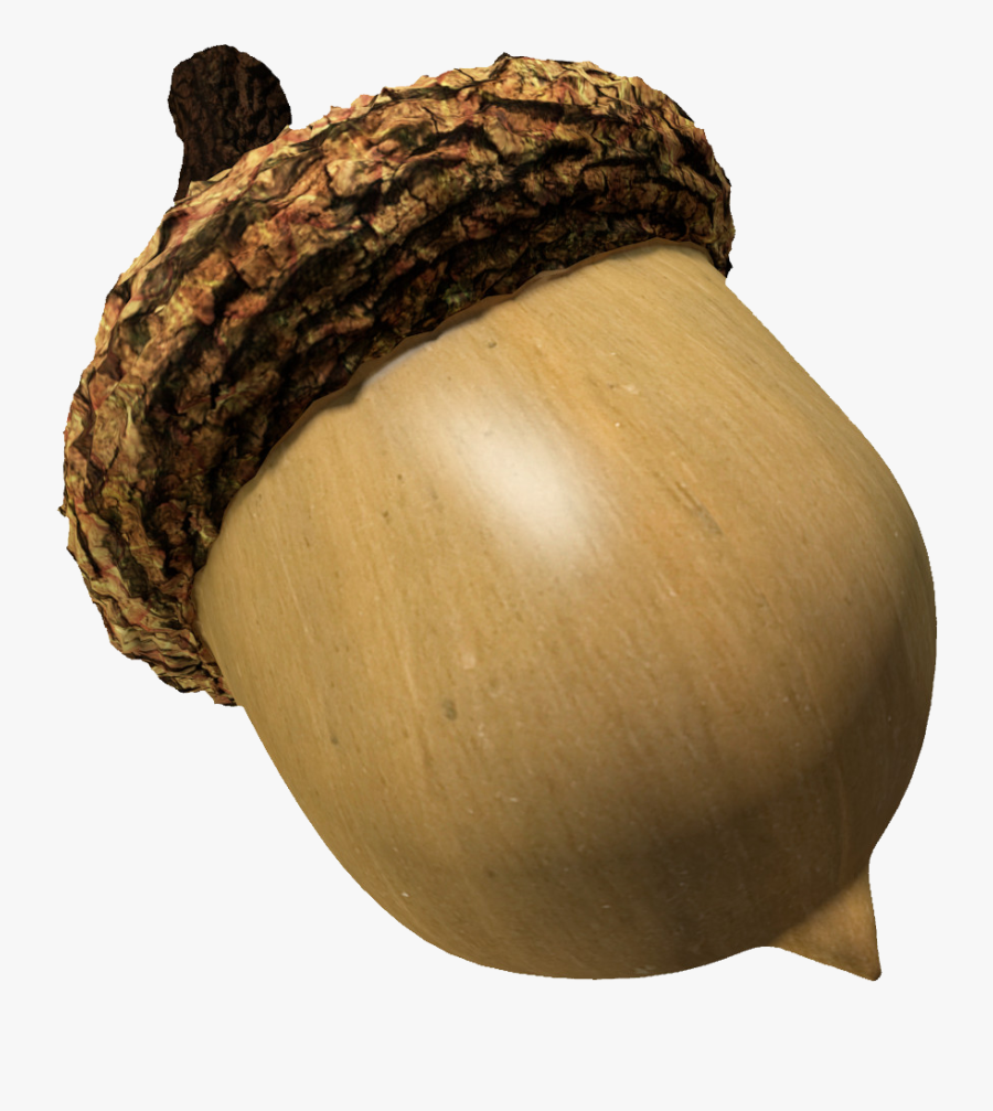 Acorn Png Image - Acorn Png, Transparent Clipart