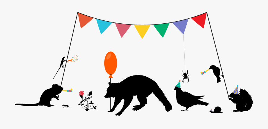 Illustration, Transparent Clipart