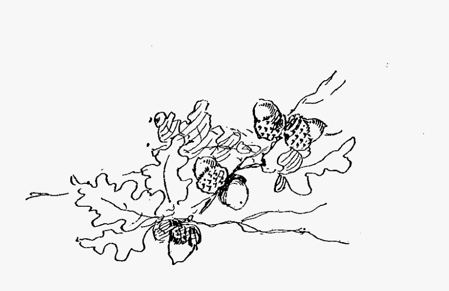 Line Art, Transparent Clipart